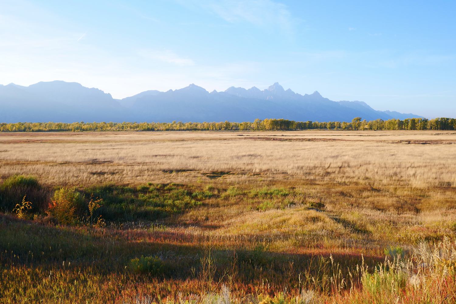 Autumn colour on the National Elk Refuge below the hills.