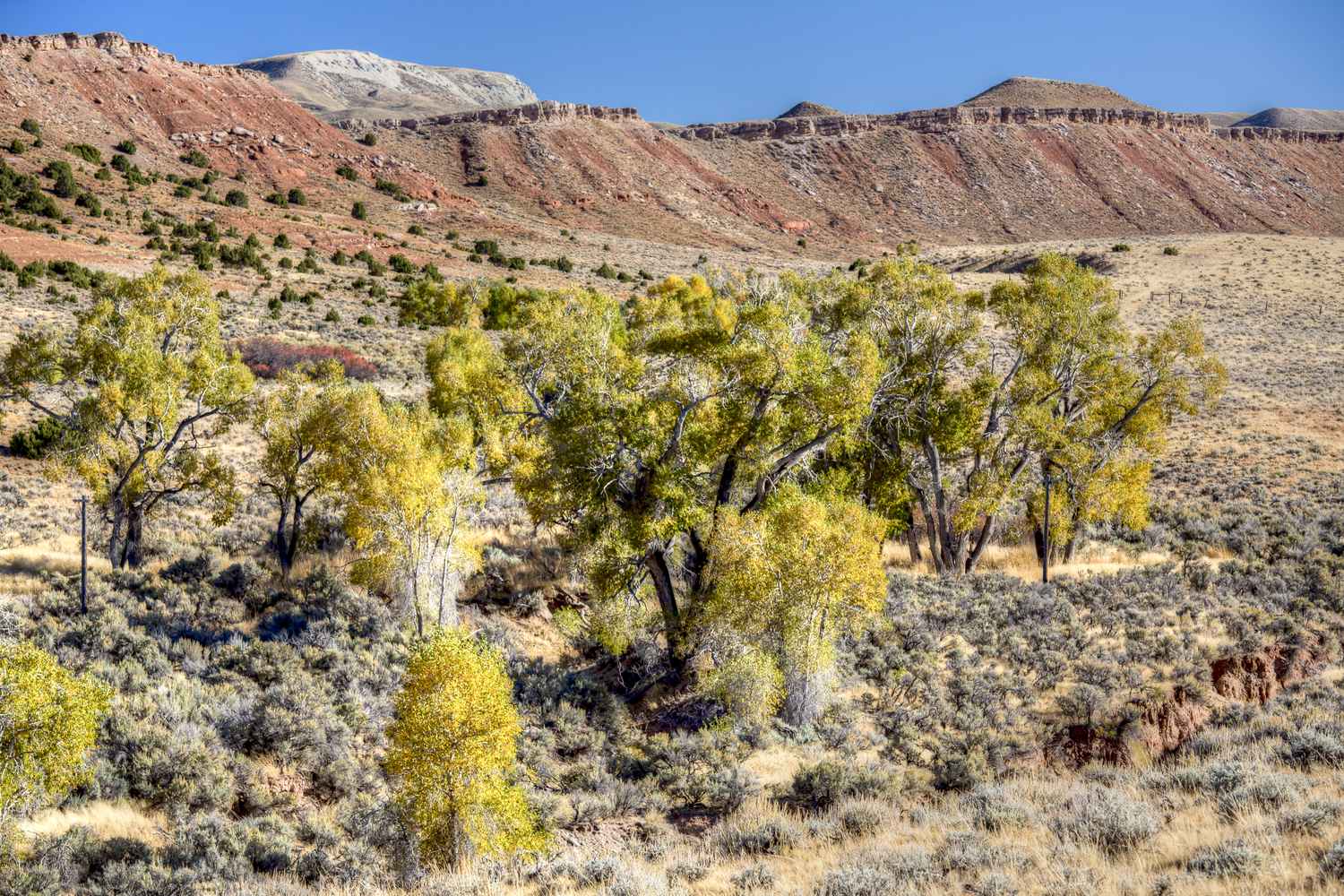The Seminoe to Alcova backcountry byway running through red hills.